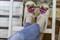 Женские валяные тапочки "Цветущий пион на белом" ручной работы - фото 16504